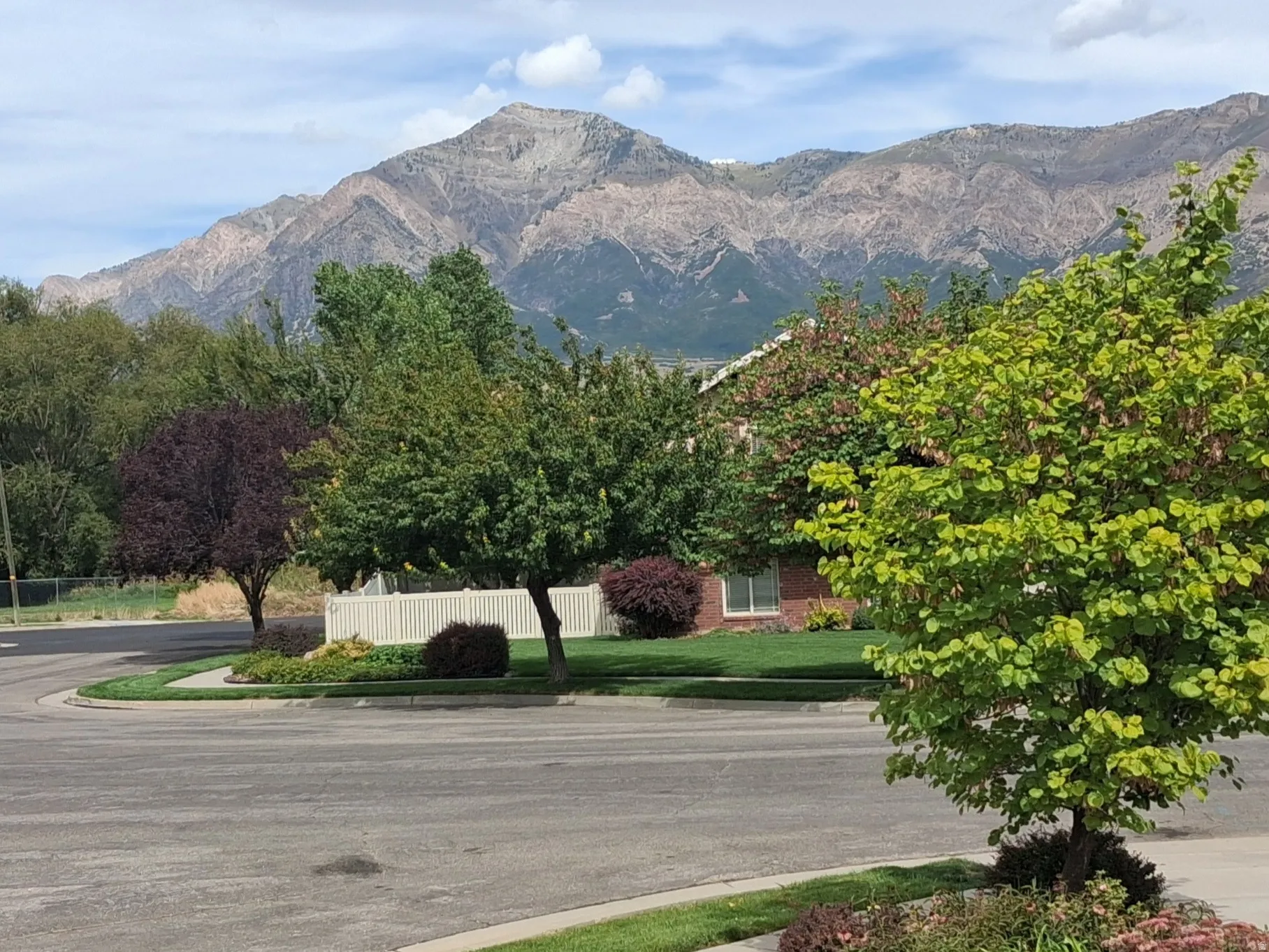 View of Mount Ben Lomond