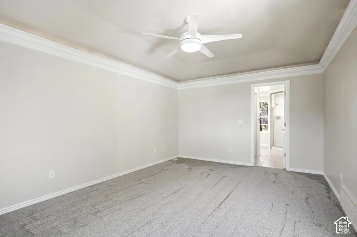 Tray ceiling with crown molding and a modern ceiling fan