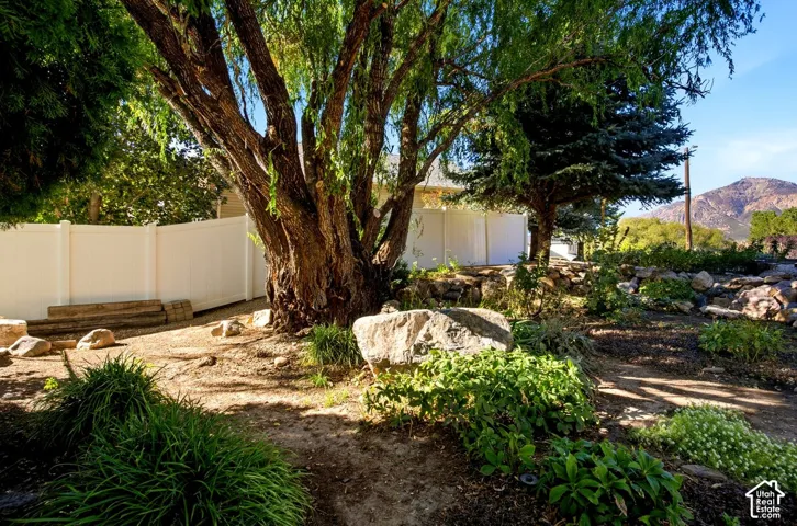 Expansive yard featuring mature trees, a white privacy fence, rock landscaping, and mountain scenery