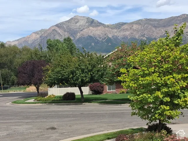 View of Mount Ben Lomond
