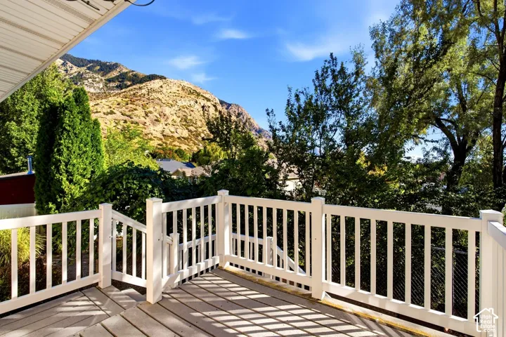 Outdoor deck with white railing, wood-finish decking, and mature trees