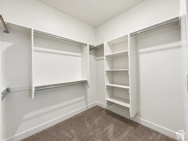 Walk-in closet featuring built-in shelving, multiple hanging rods, and carpet flooring