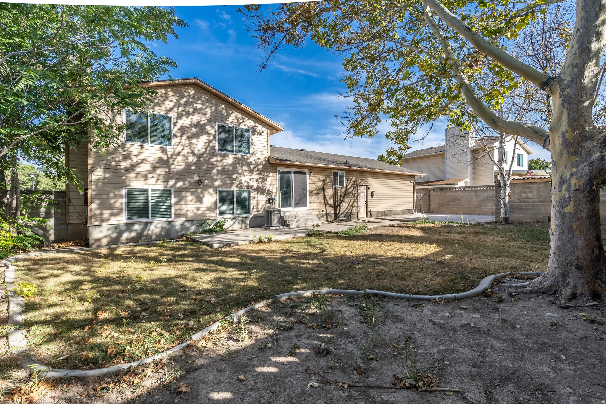 Expansive backyard featuring a mature shade tree, a concrete patio, and a privacy wall