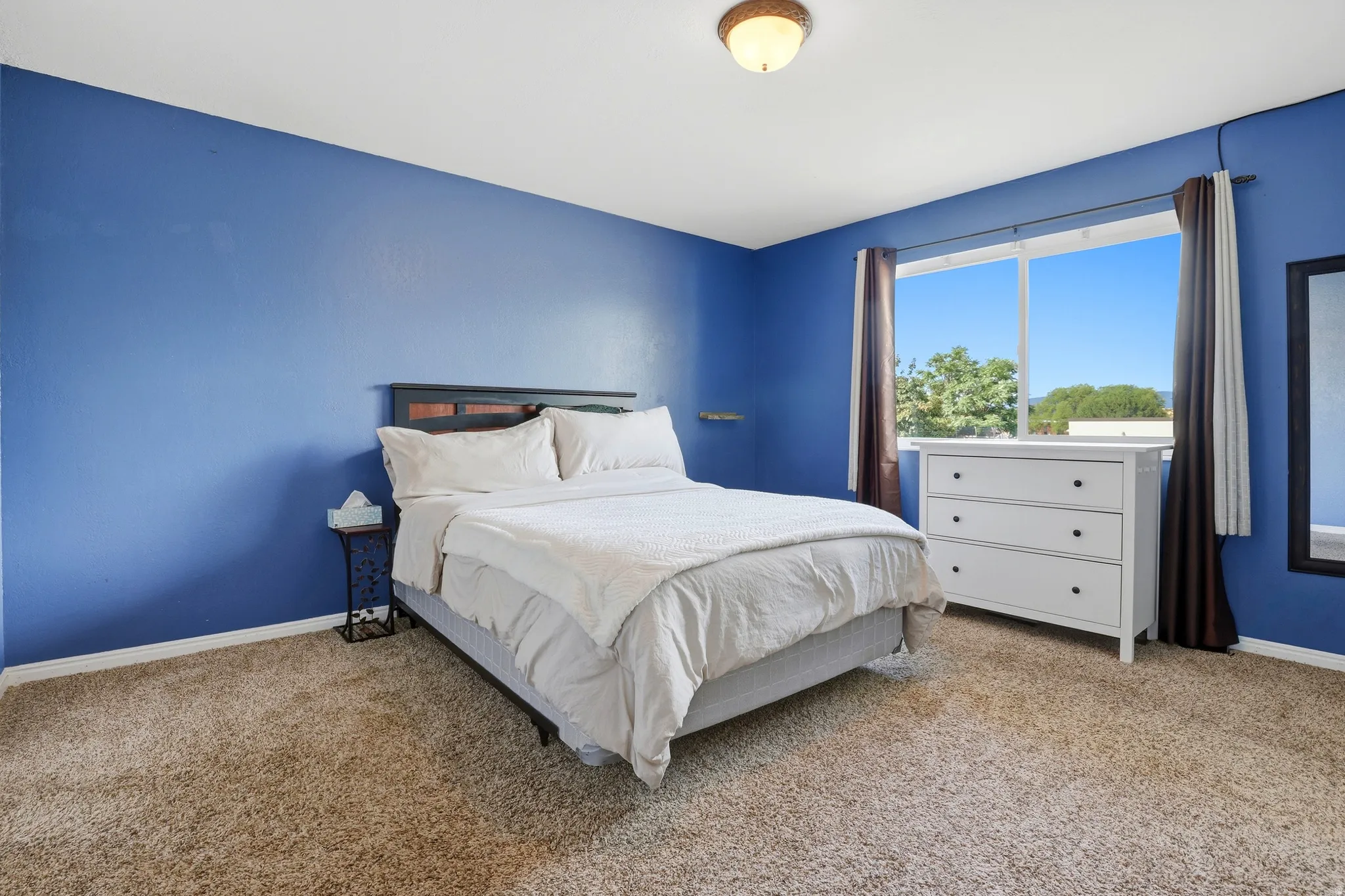 Expansive window, wall-to-wall carpeting, and flush mount lighting fixture