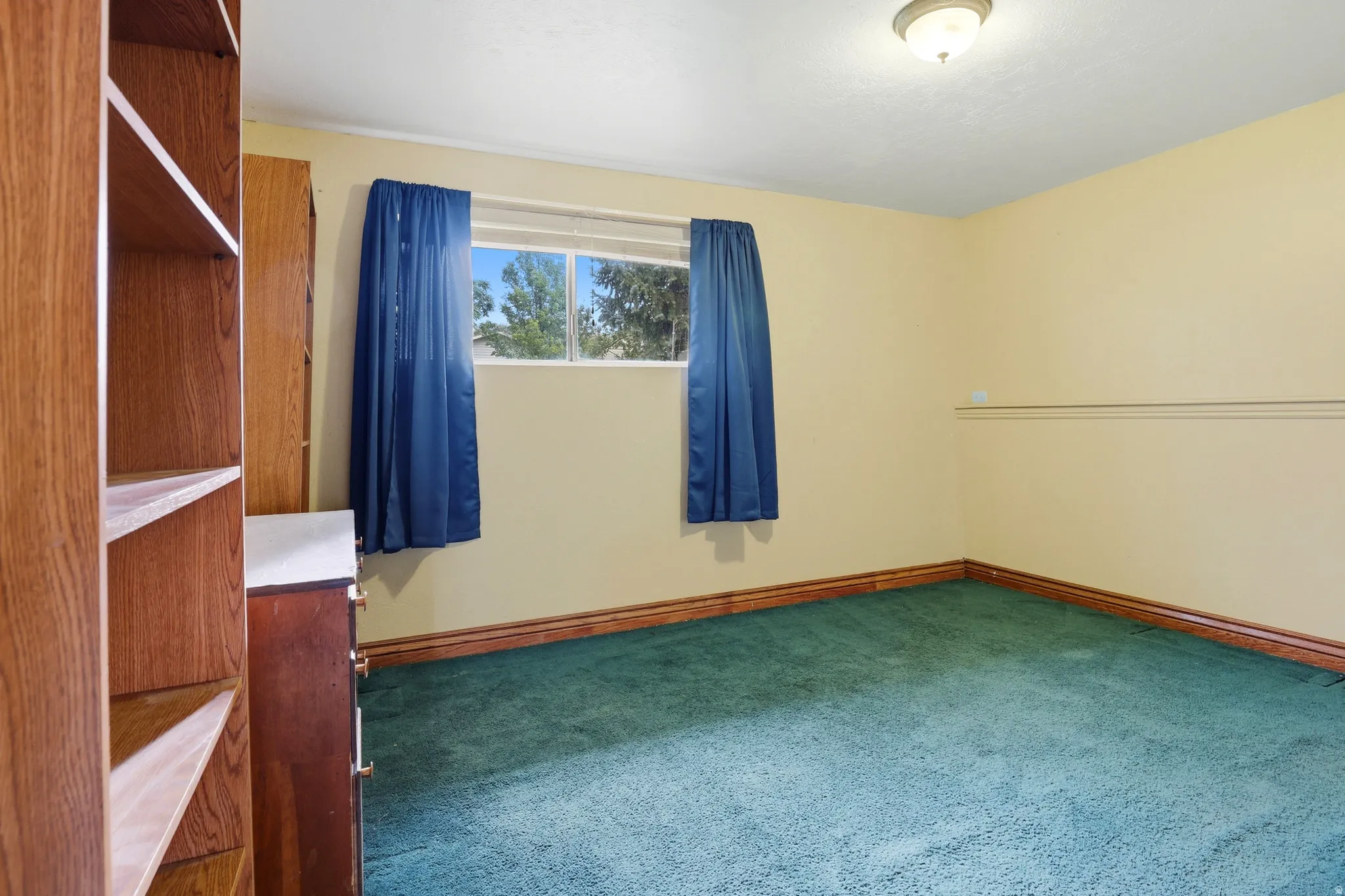 Window with blue drapes, light-colored walls, green carpeting, wood trim, and a built-in wood-finish bookshelf