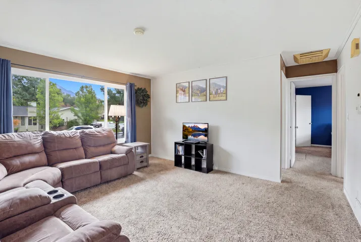 Expansive new window offering a broad outdoor scenery, wall-to-wall carpeting, and an open doorway