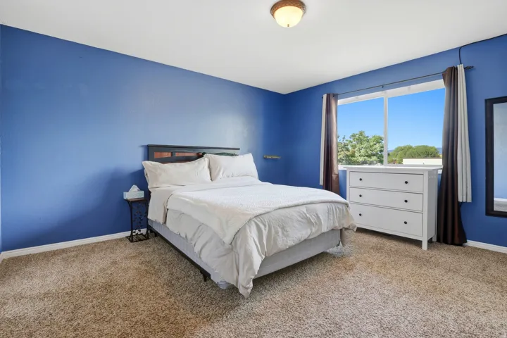 Expansive window, wall-to-wall carpeting, and flush mount lighting fixture