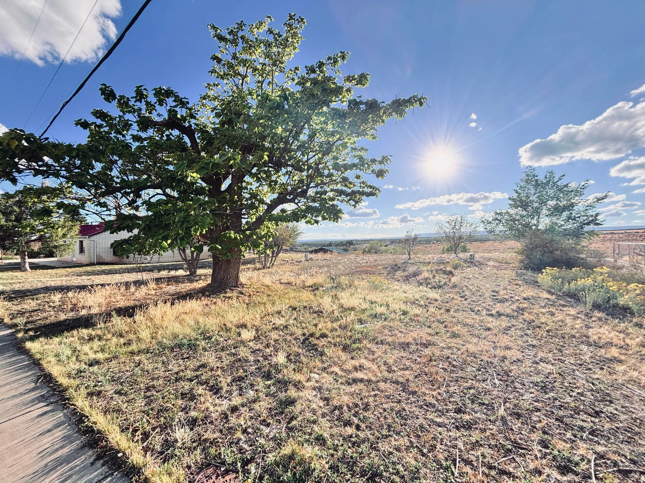 Established trees on a spacious lot with a single-story structure and distant scenery