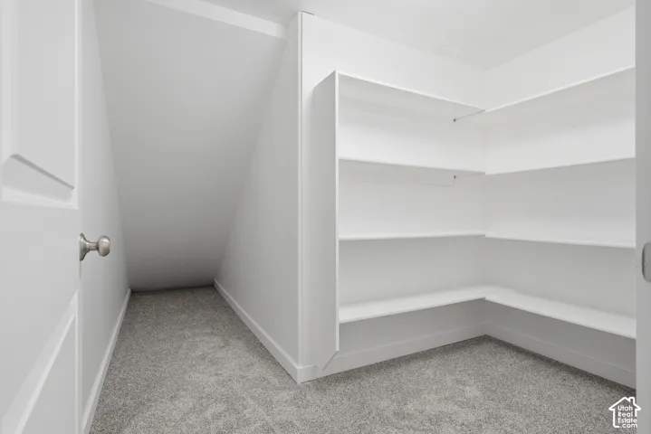 Under the stairs expanded storage area