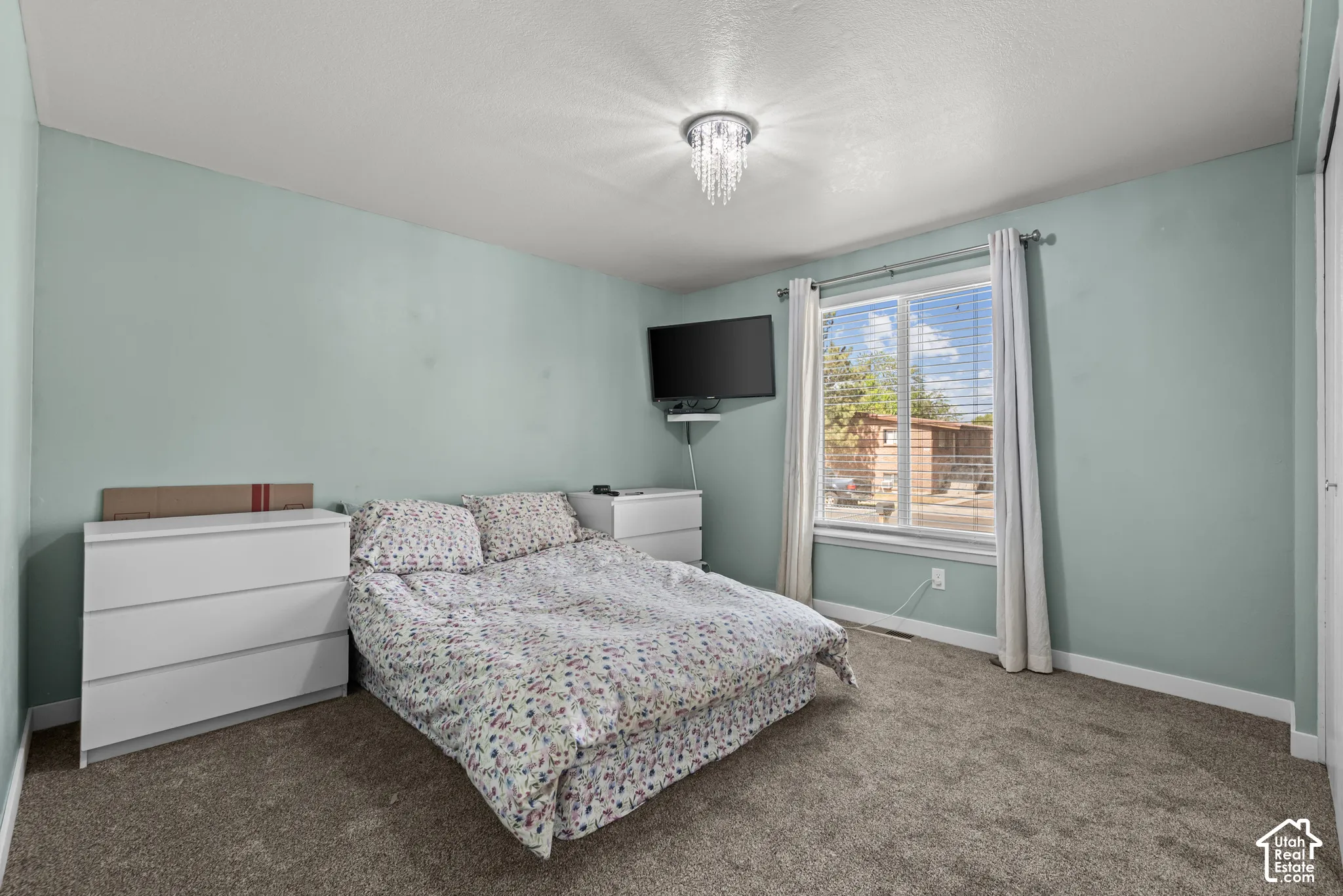 Carpeted room featuring a double-pane window, ceiling-mounted light fixture, and light-toned walls