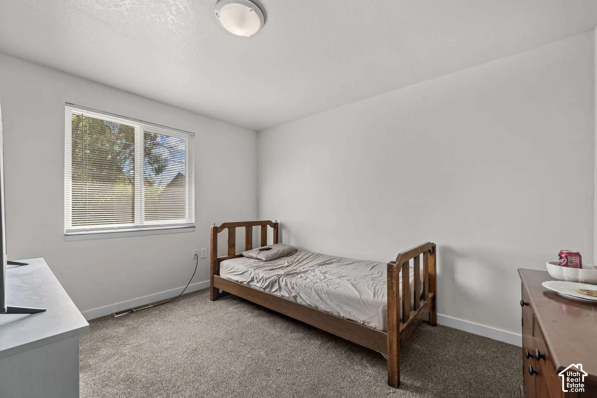Neutral wall color, carpet flooring, window with blinds, and ceiling-mounted light fixture