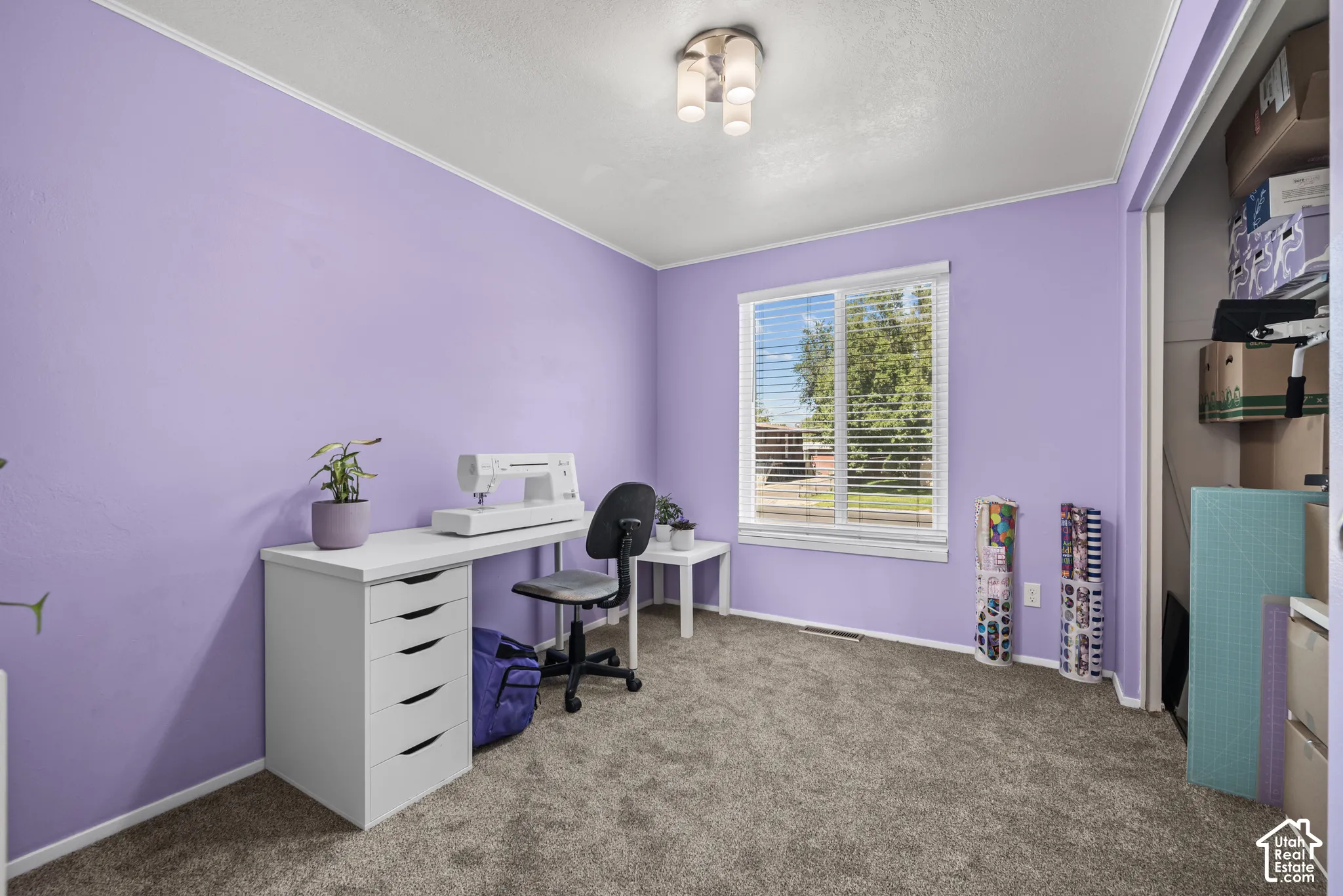 Plush carpeting, recessed window, and flush-mount ceiling light fixture
