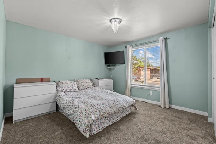 Carpeted room featuring a double-pane window, ceiling-mounted light fixture, and light-toned walls