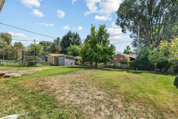 Expansive rear yard with mature trees and a storage shed