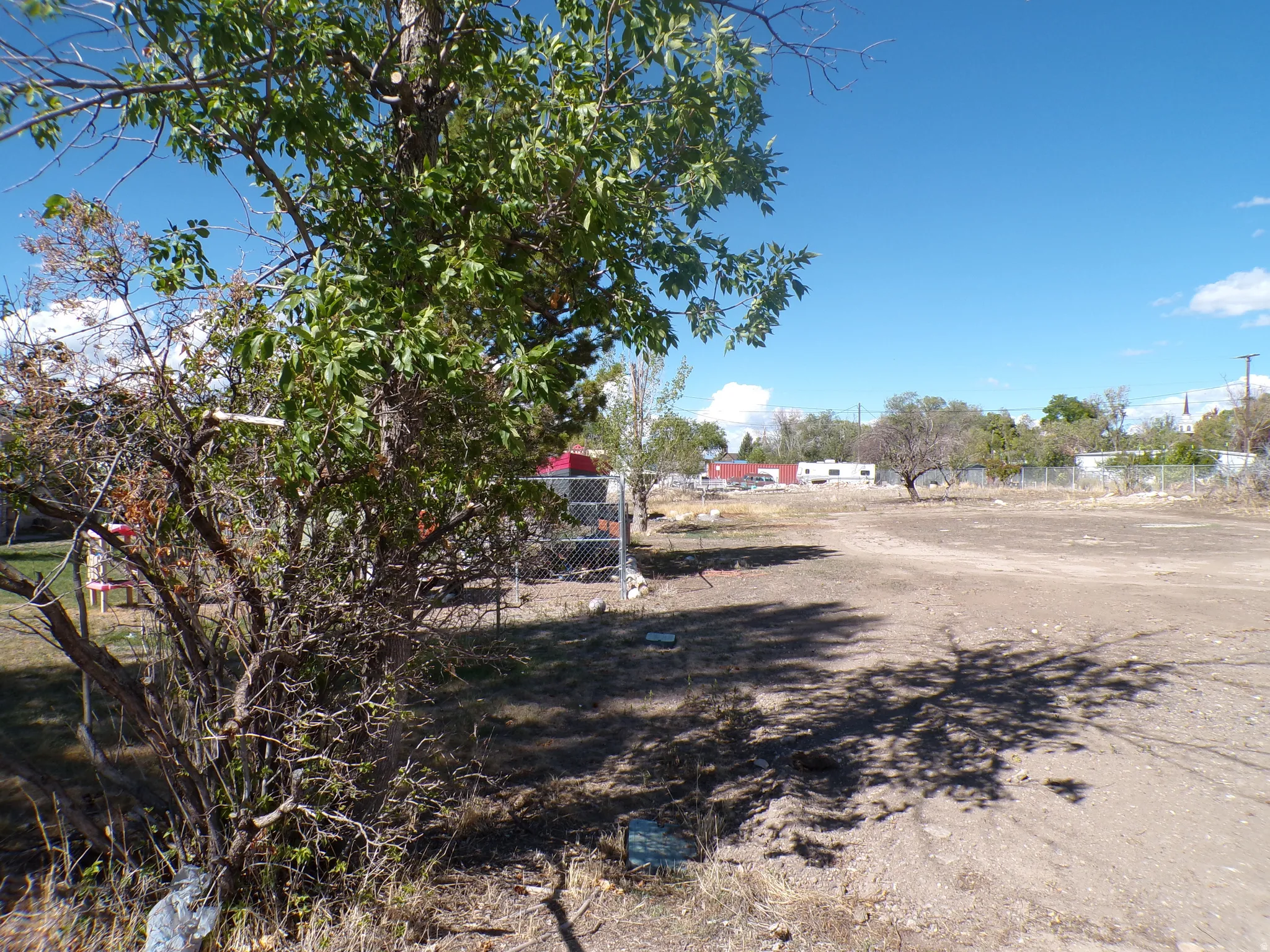 Tree near SW corner