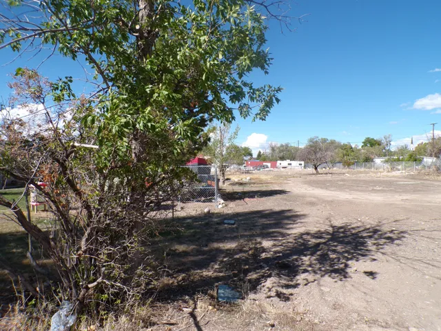 Tree near SW corner
