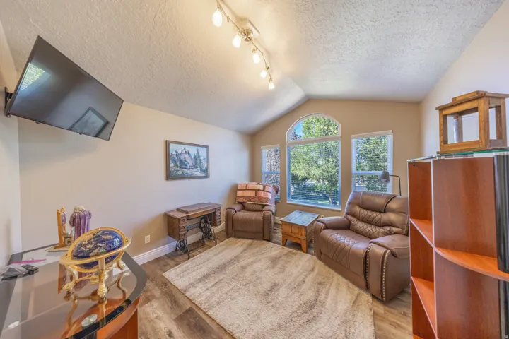 Vaulted ceiling with track lighting, wood-finish flooring, built-in shelving, and multiple windows including an arched window