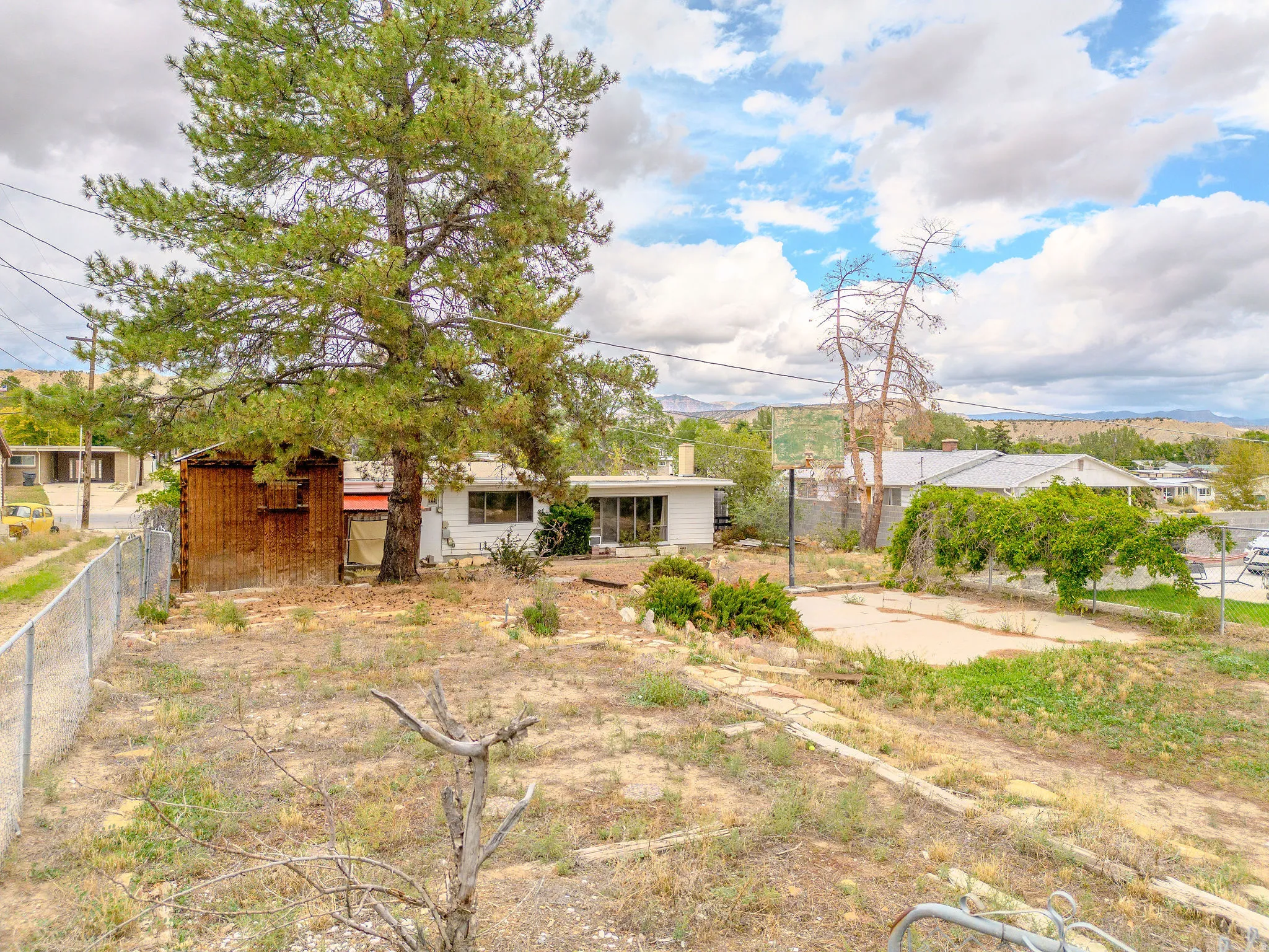Expansive outdoor space featuring a mature pine tree and a chain-link fence