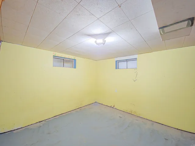 Recessed ceiling tiles, built-in ceiling light fixture, two fixed-pane windows