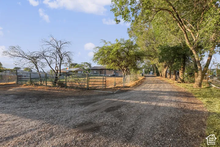 Gravel driveway bordered by mature trees and fencing