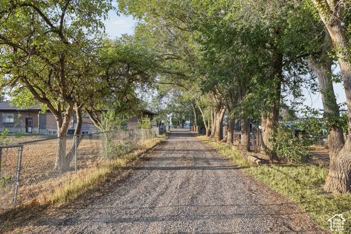 Gravel drive with mature trees, chain-link fencing, and a building with a shingle roof