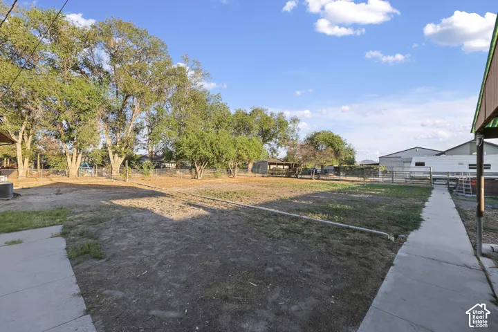 Expansive outdoor area with mature trees and a concrete pathway