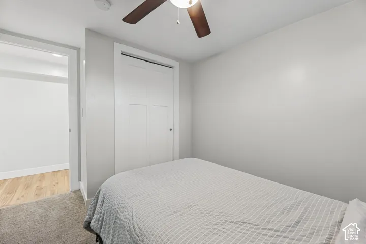 Light gray wall color, wood-finish ceiling fan, white paneled bifold closet doors, and wood-finish flooring