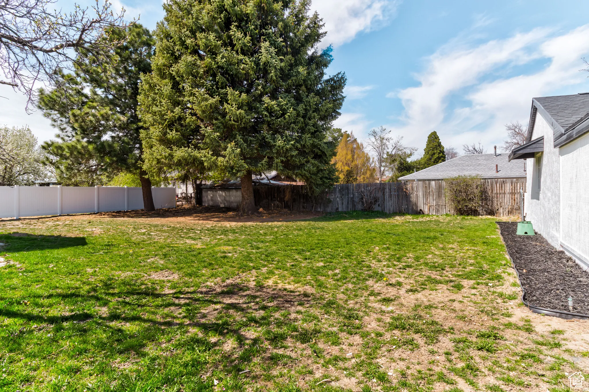 Expansive backyard with a manicured lawn, mature trees, and a white privacy fence
