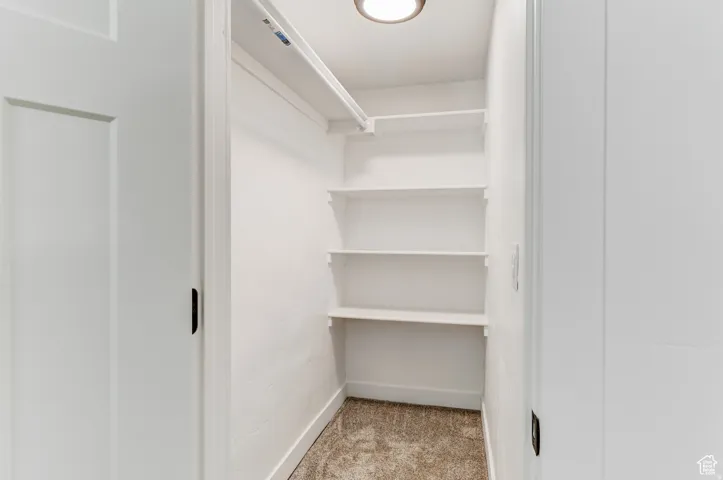 Recessed ceiling light, built-in shelving, white paneled door, and carpet flooring