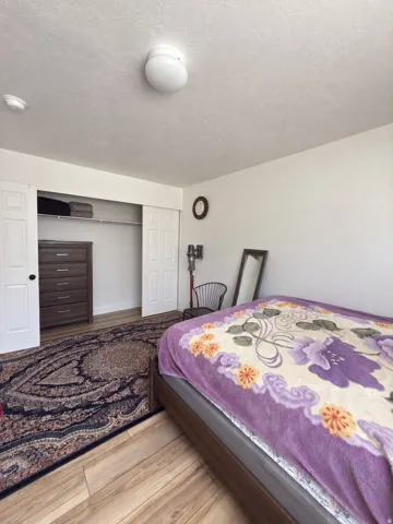 Wood-finish flooring throughout, with a recessed closet featuring sliding doors and an additional hinged door