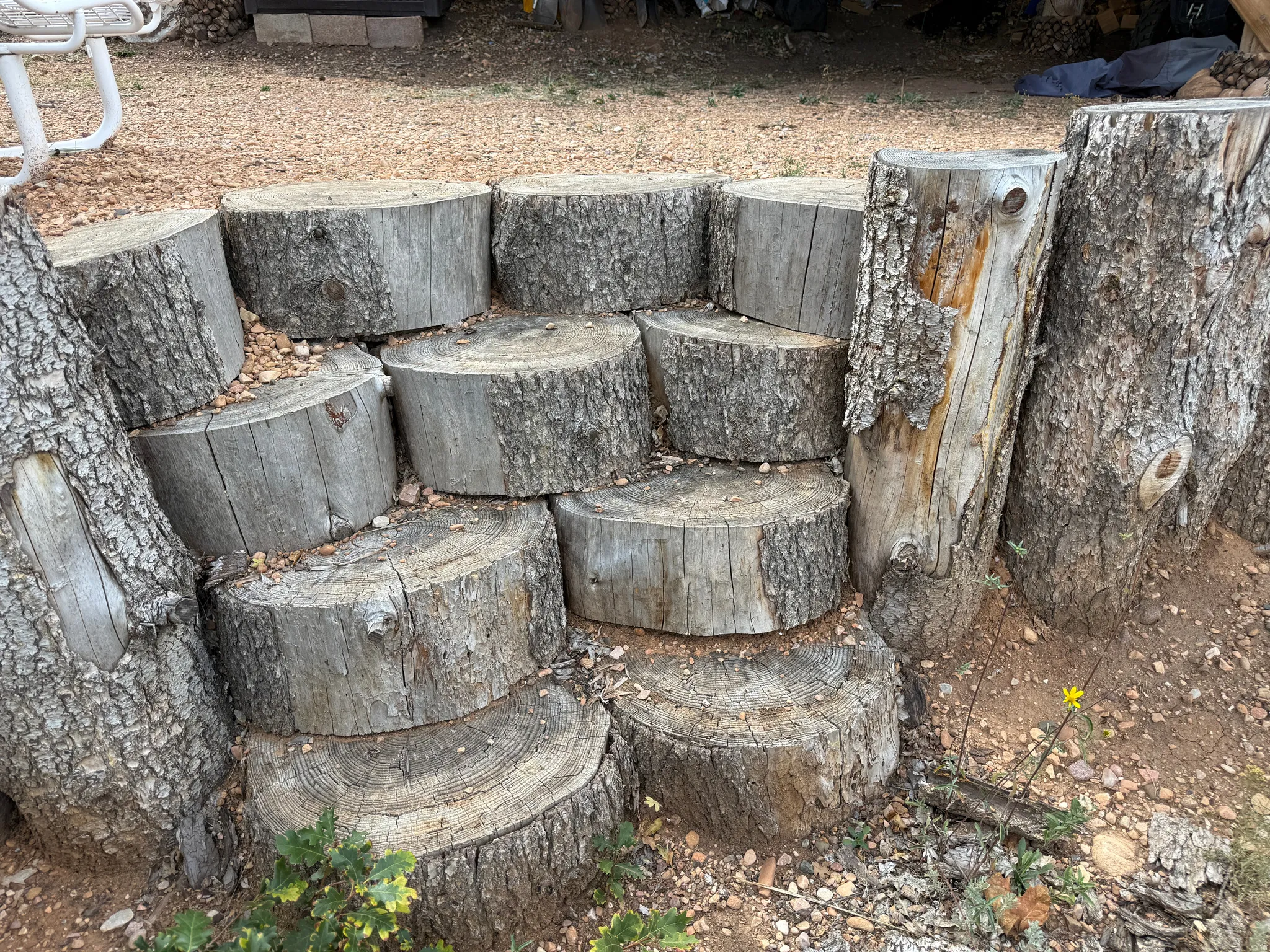 Segmented log retaining wall with steps