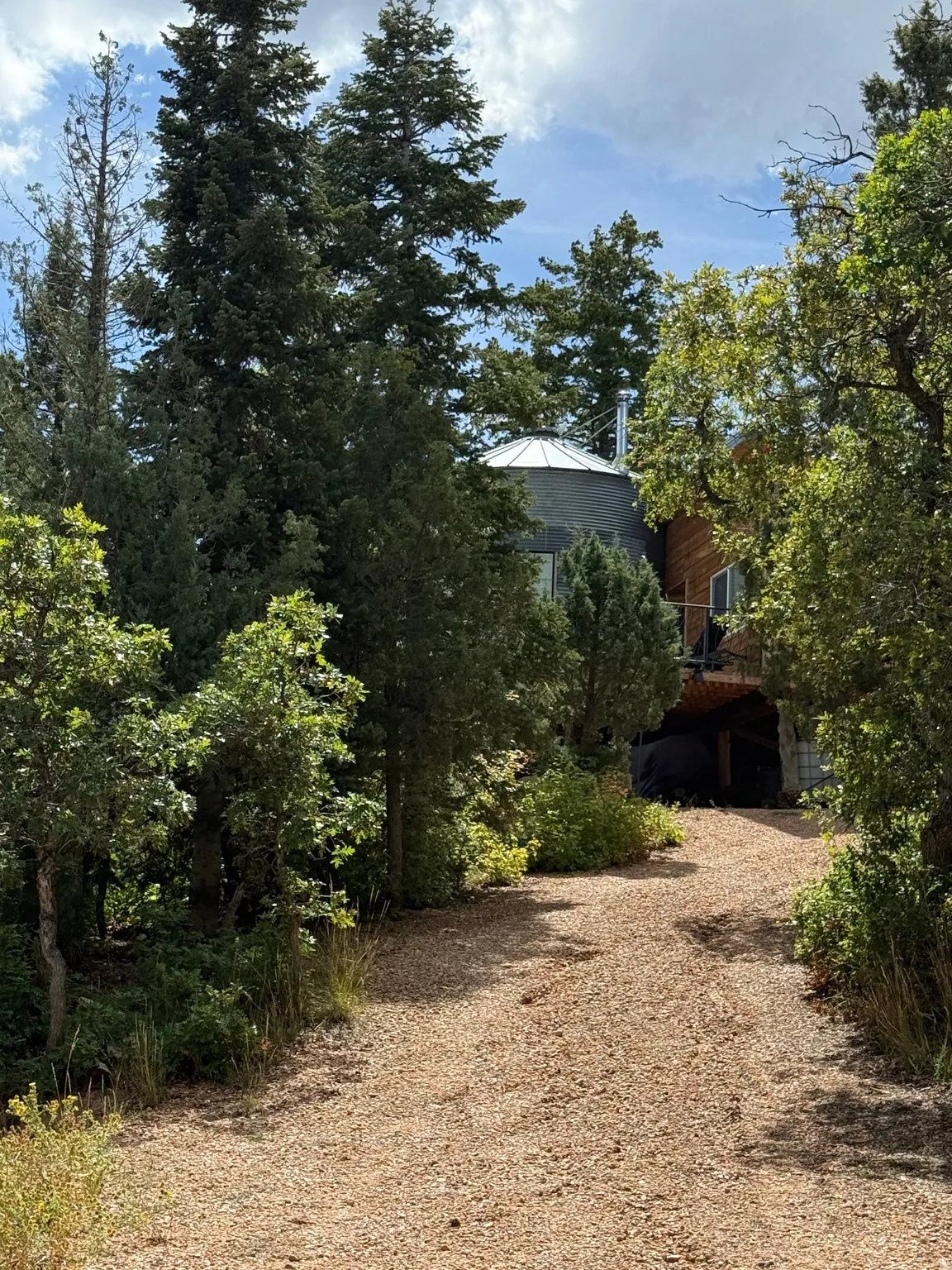 Gravel driveway leading to a secluded residence, surrounded by mature trees and natural landscaping