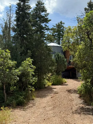 Gravel driveway leading to a secluded residence, surrounded by mature trees and natural landscaping