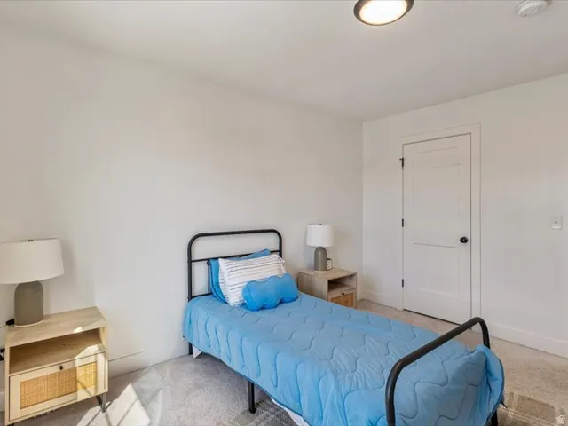 Recessed ceiling light fixture, neutral wall color, white trim, paneled interior door with dark hardware, and gray carpet