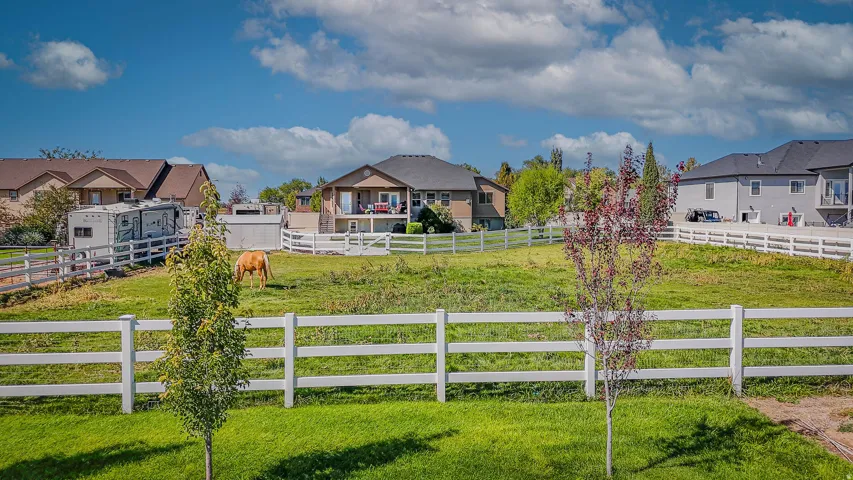 Expansive fenced pasture with lush grass and young trees