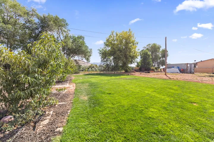 Expansive lawn area with mature trees and established landscaping