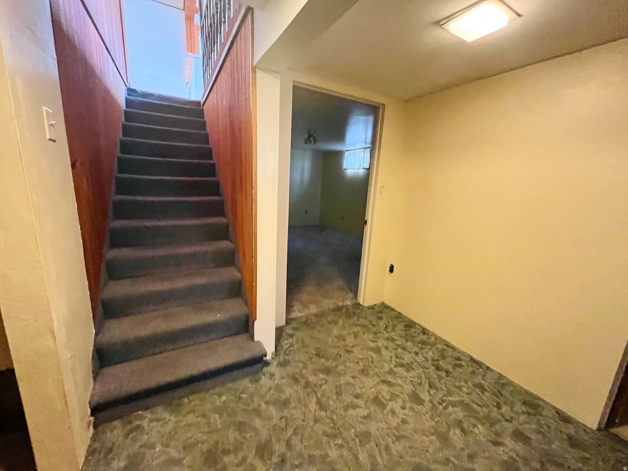 Carpeted stairway to the basement