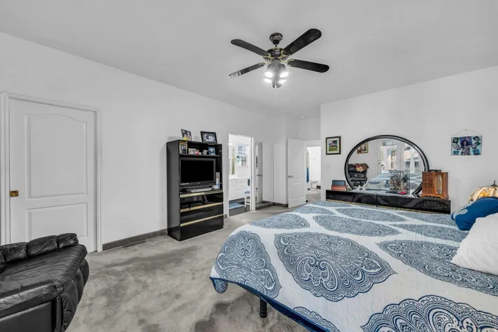 White walls, ceiling fan, and grey carpeted flooring