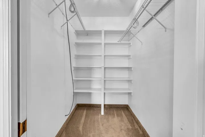 Built-in shelving, wire shelving, and carpeting