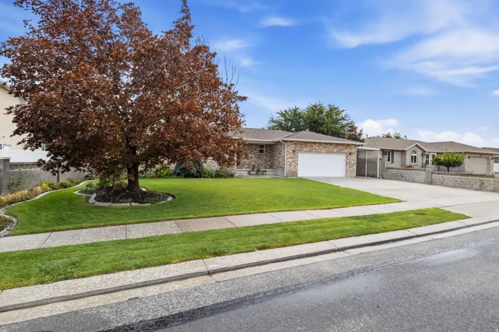 Brick exterior with an attached garage, a mature front tree, and a concrete driveway