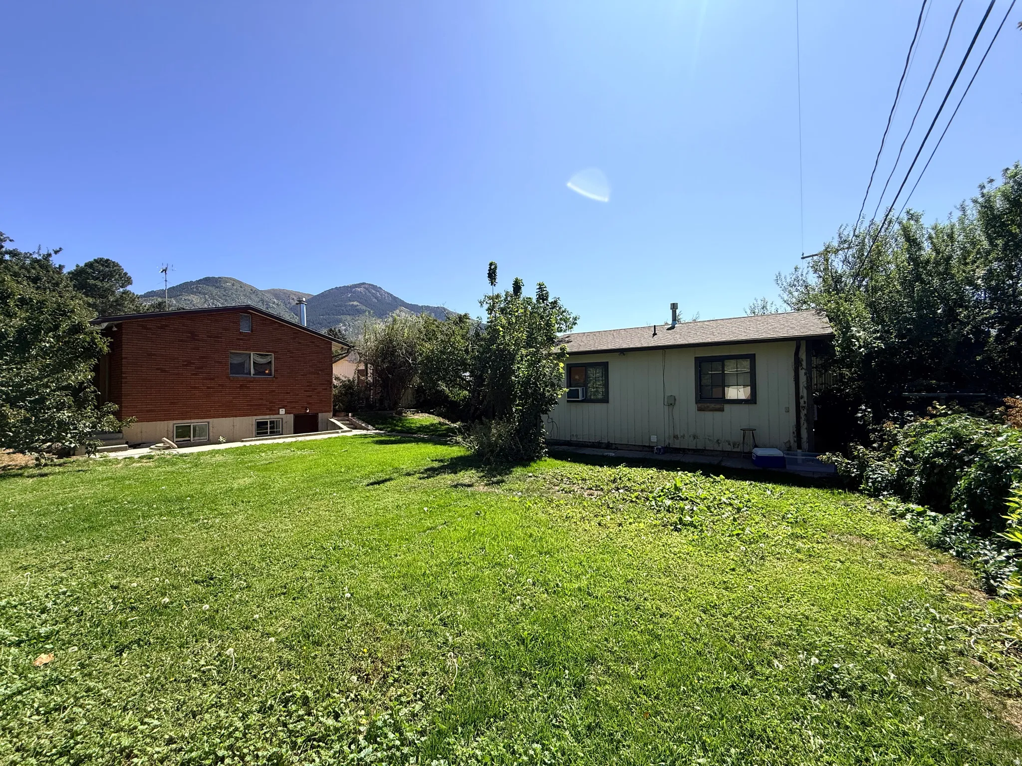 Expansive grassy yard with mature perimeter landscaping