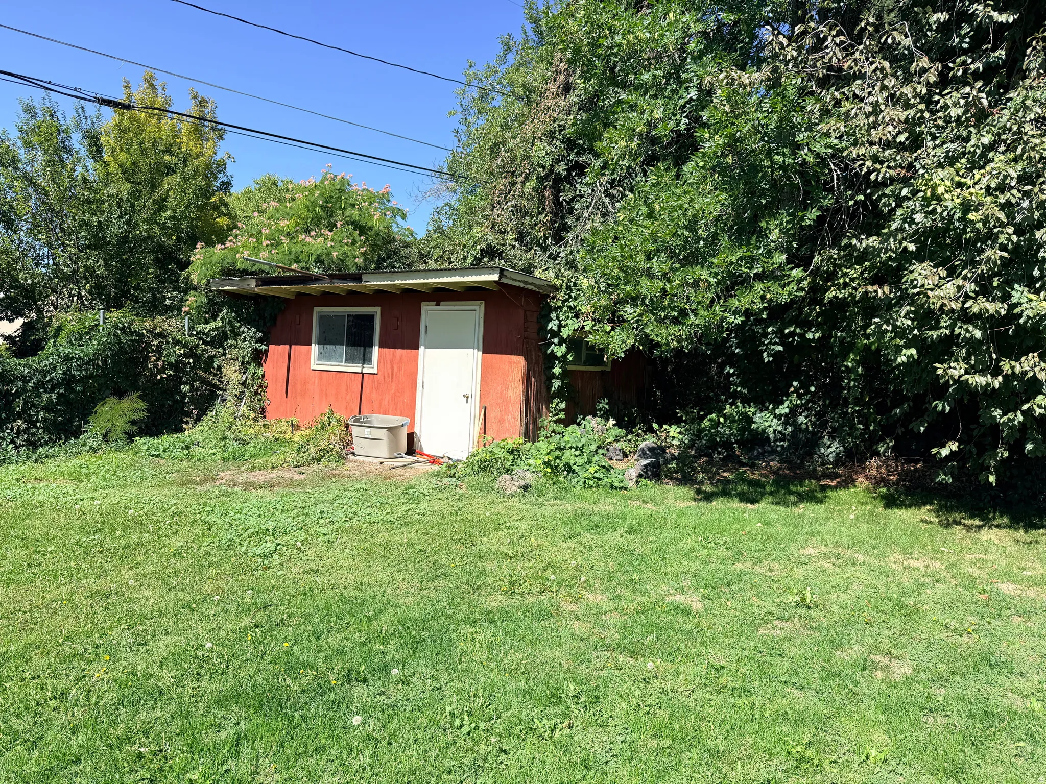 Freestanding shed with a red exterior and white door