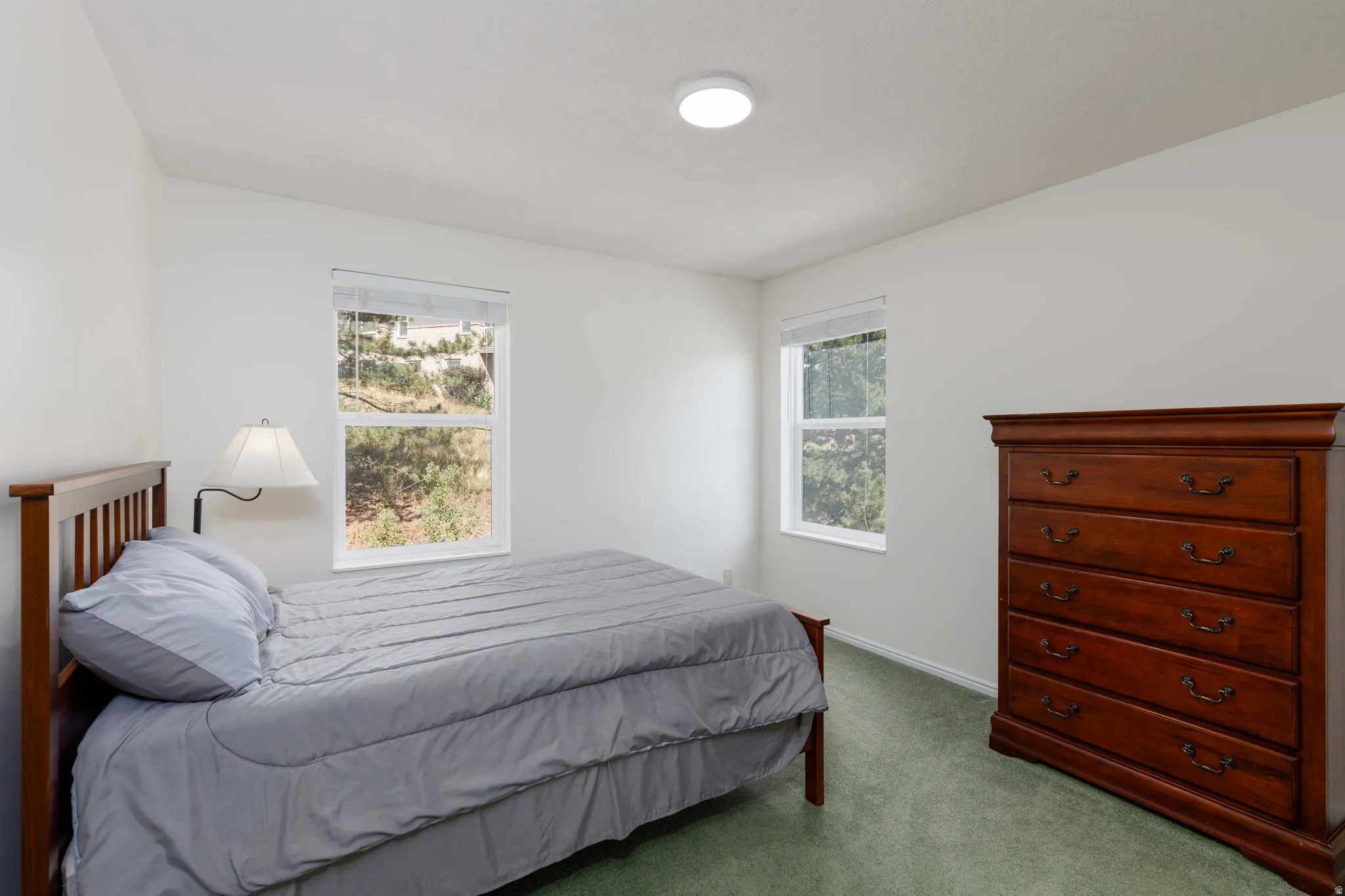 Recessed lighting, light green carpeting, and two windows with blinds