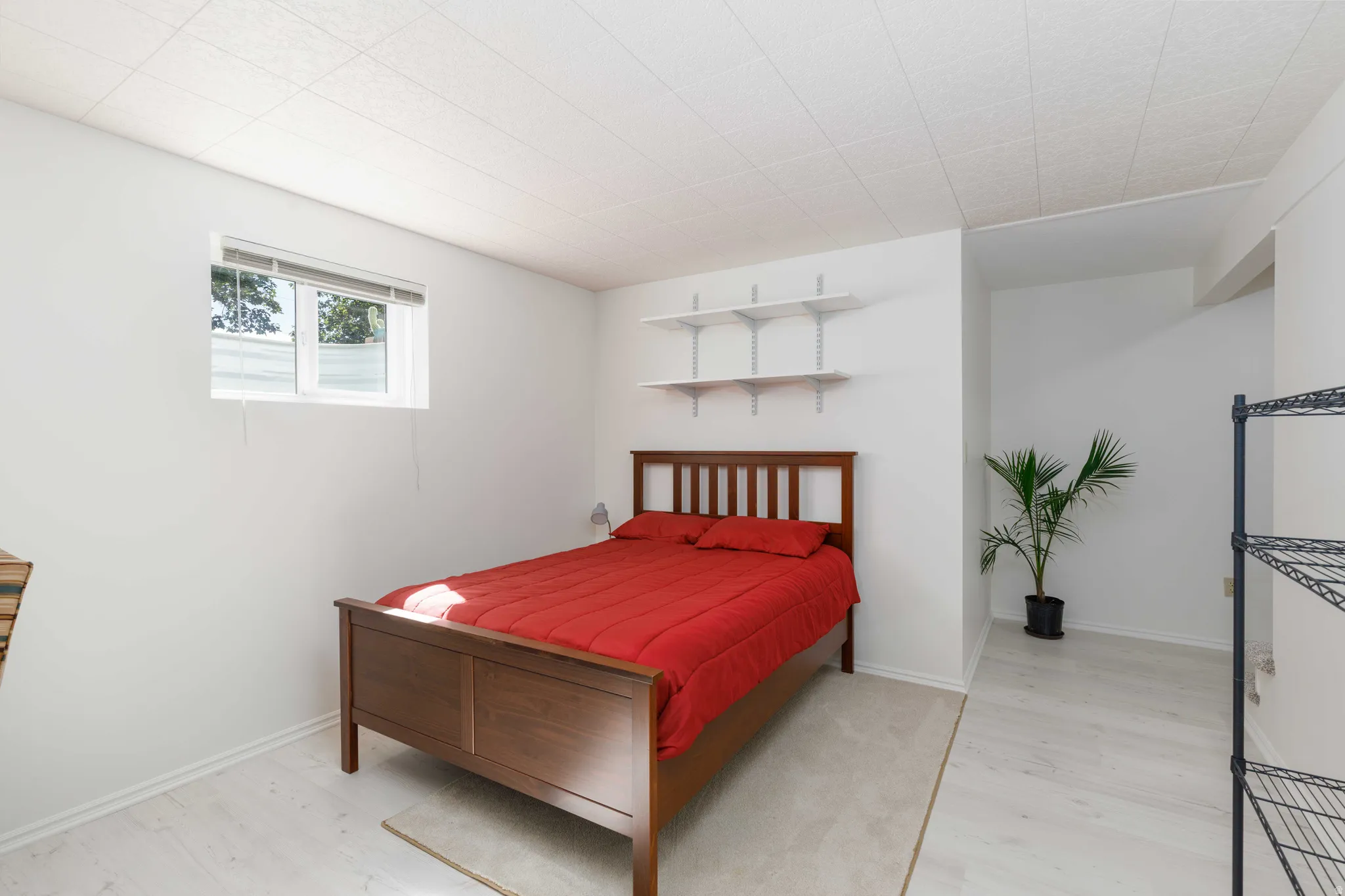 White walls with light wood-finish flooring, a window offering natural light, and built-in shelving