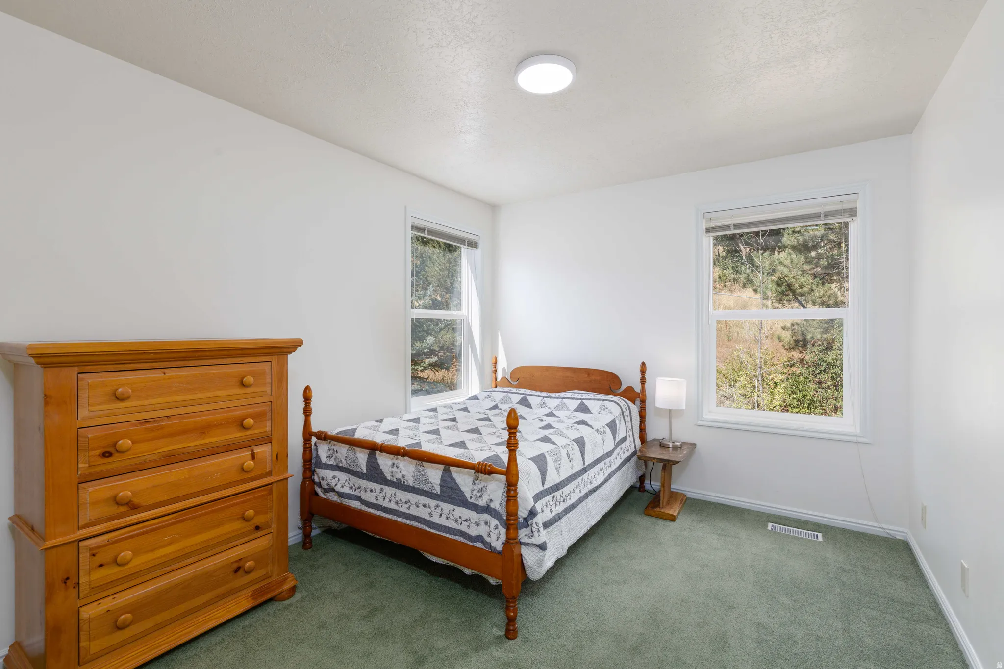 White walls, two windows, and green carpeting