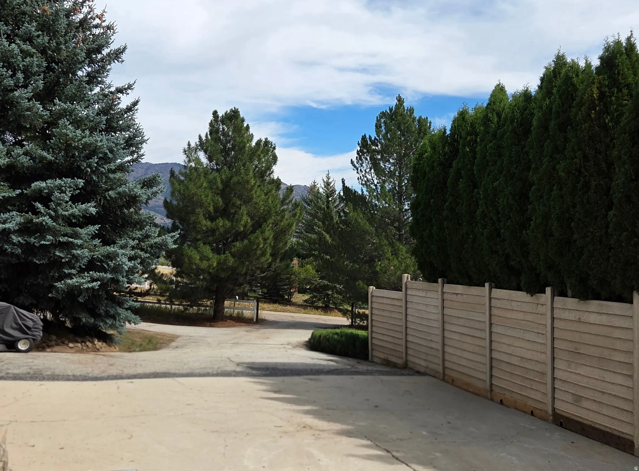 Concrete driveway with mature evergreen trees, a natural wood fence, and distant mountain scenery