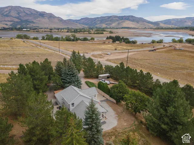 Gabled roofline, light gray exterior siding, mature evergreen trees, gravel driveway, and a wooden deck