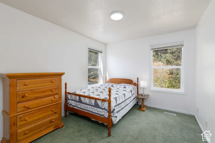 White walls, two windows, and green carpeting
