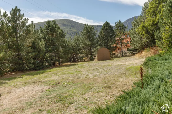 Expansive grassy terrain with mature evergreen trees and distant mountain backdrop