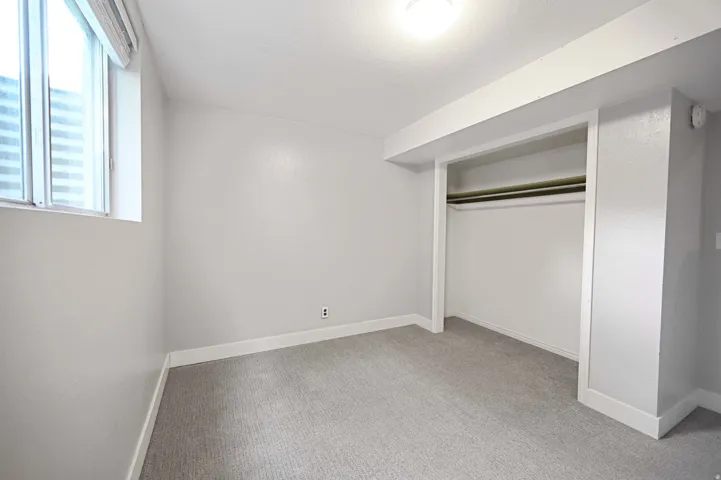 Window with horizontal blinds, light gray wall paint, light gray carpeting, open closet with hanging rods, flush mount ceiling light